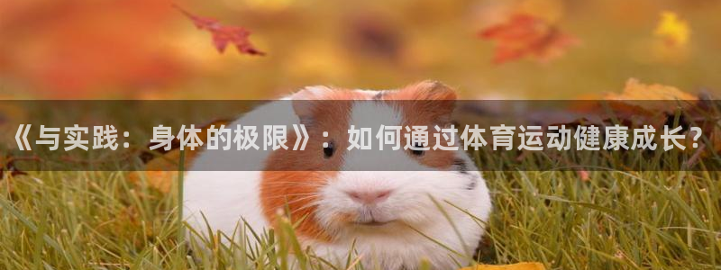 JJB竞技宝官方正版app娱乐首页官网下载：《与实践：身体的