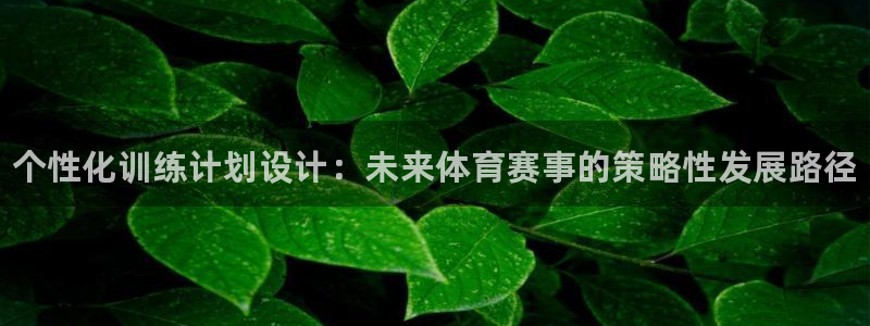 JJB竞技宝官网下载是干嘛的公司：个性化训练计划设计