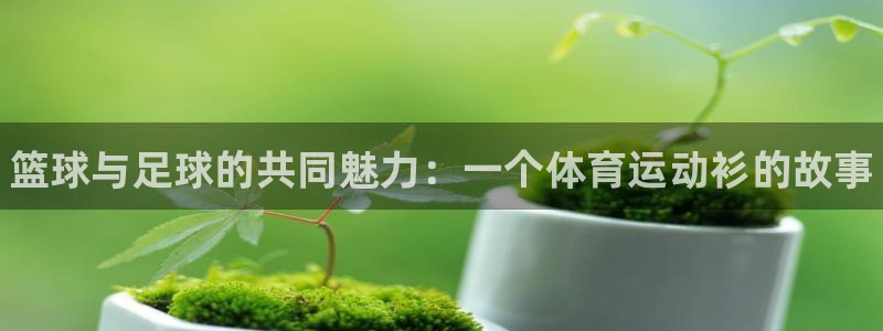 JJB竞技宝官网下载招商电话是多少号码：篮球与足球的共同魅力