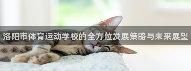 JJB竞技宝官方正版app娱乐首页网站大全