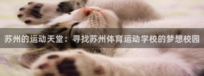JJB竞技宝官网下载是干嘛的公司：苏州的运动天堂：寻