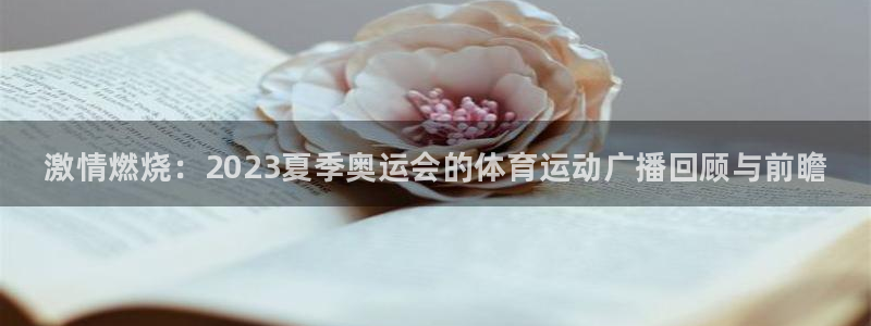 JJB竞技宝官网下载：激情燃烧：2023夏季奥运会的