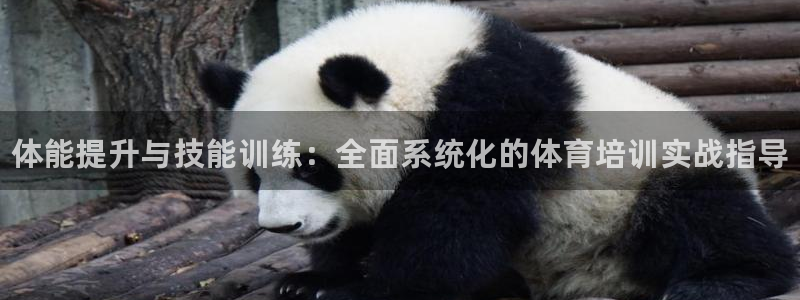 JJB竞技宝官方正版app集团简介：体能提升与技能训练：全面