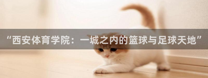 JJB竞技宝官网下载平台