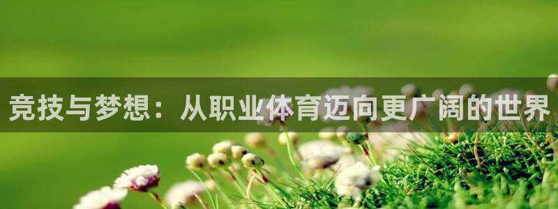 JJB竞技宝官网下载平台是正规平台吗安全吗：竞技与梦