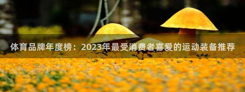 JJB竞技宝官方正版app集团简介：体育品牌年度榜：2023