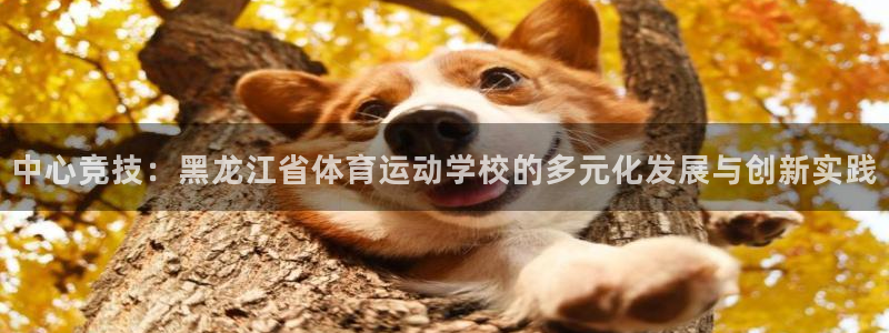 JJB竞技宝官方正版app开户：中心竞技：黑龙江省体育运动学