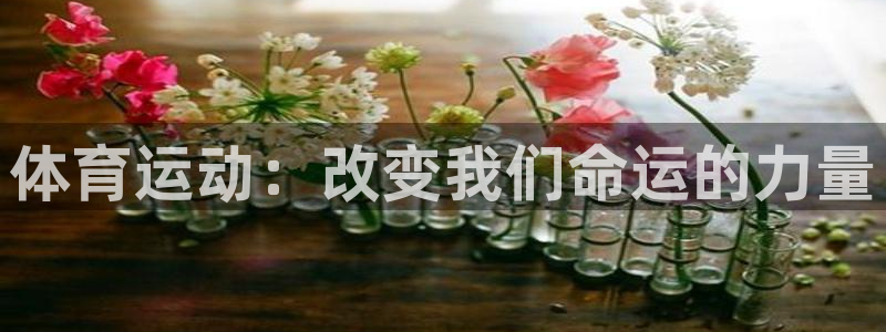 JJB竞技宝官方正版app集团E.ON：体育运动：改变我们命