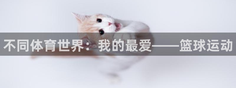 JJB竞技宝官方正版app娱乐首页网站大全：不同体育世界：我