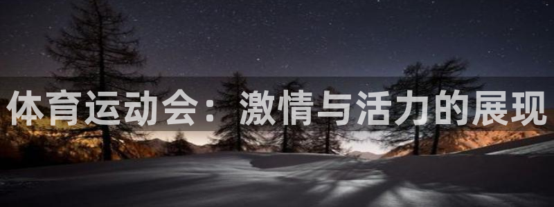 JJB竞技宝官网下载招商：体育运动会：激情与活力的展现