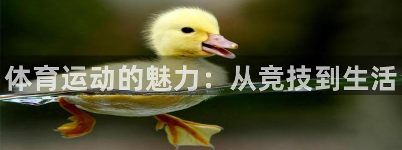 首页竞技宝APP官网：体育运动的魅力：从竞技到生活