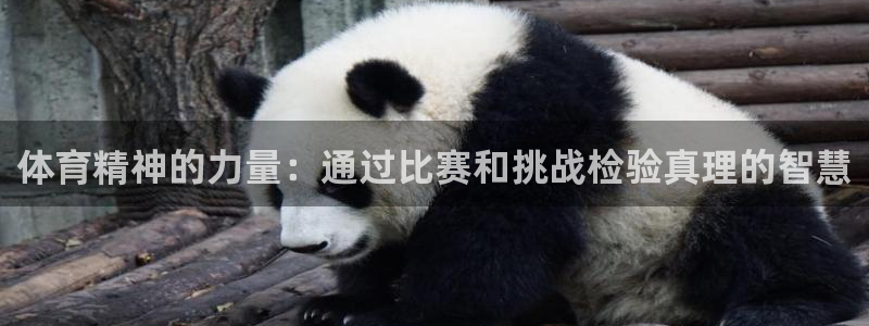 竞技宝客服app：体育精神的力量：通过比赛和挑战检验真理的智