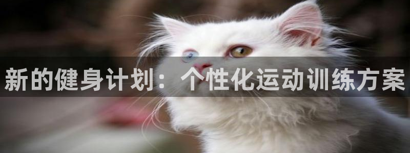 竞技宝app网页：新的健身计划：个性