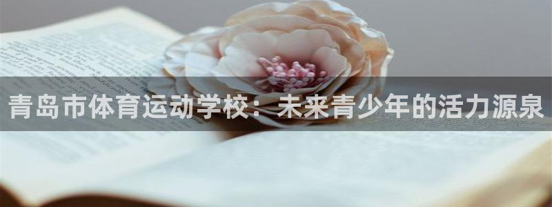 竞技宝被抓：青岛市体育运动学校：未来