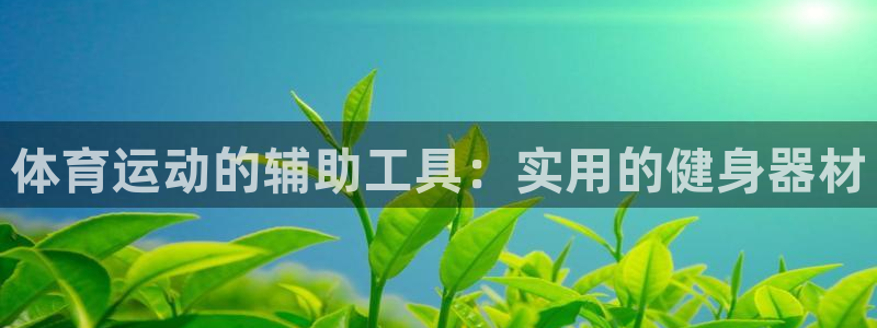 竞技宝官网网址是多少：体育运动的辅助