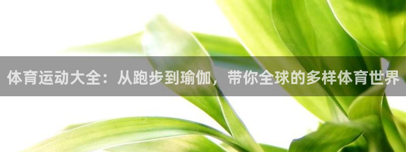  竞技宝app官方安卓版下载：体育运动大全：从跑步到瑜伽，带你