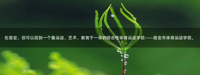  竞技宝官网是什么：在西安，你可以找到一个集运动、艺术、教育于