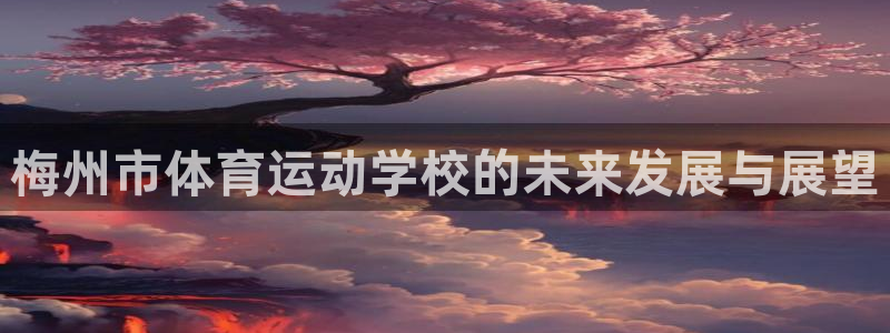 竞技宝app下载安装苹果版：梅州市体育运动学校的未来发展与展