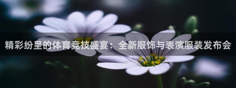竞技宝登录：精彩纷呈的体育竞技盛宴：全新服饰与表演服装发布会