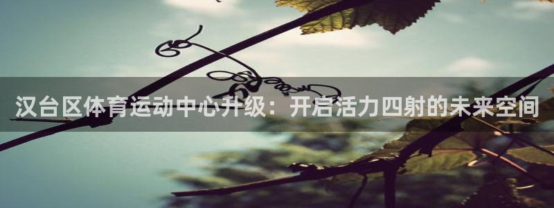 竞技宝在哪儿下载：汉台区体育运动中心升级：开启活力四射的未来