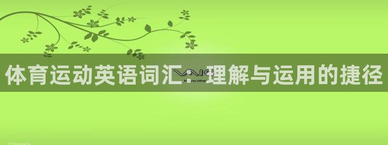 竞技宝 app靠谱吗：体育运动英语词汇：理解与运用的捷径