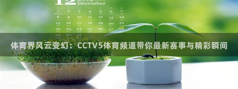 龙门镖局超清在线观看：体育界风云变幻：CCTV5体育频道带你最新赛事与精彩瞬间
