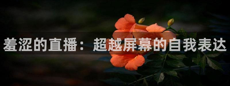 龙门直播吧：羞涩的直播：超越屏幕的自我表达