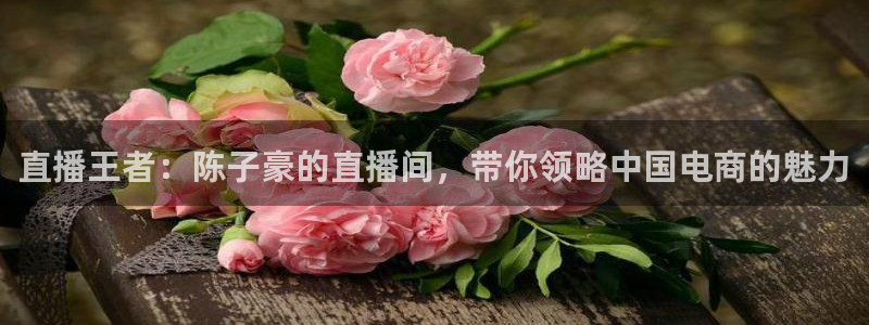 龙门直播在线观看：直播王者：陈子豪的直播间，带你领略中国电商的魅力