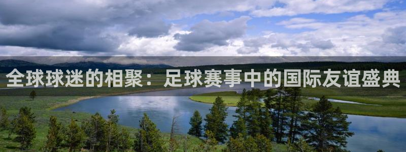 龙门直播在线直播：全球球迷的相聚：足球赛事中的国际友谊盛典